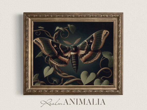 Dark Moth Print, Botanical Dark Academia Poster