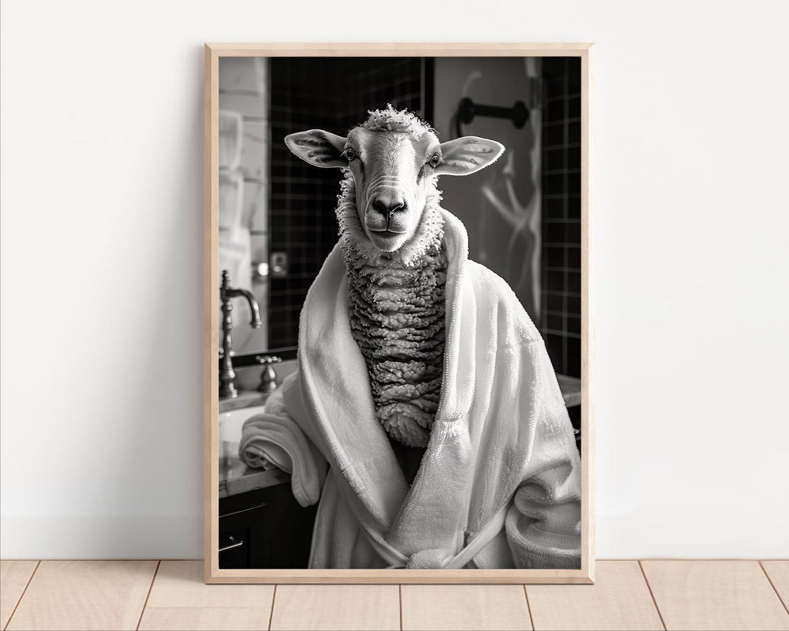 Sheep in White Bathrobe Bathroom Black and White Funny Poster
