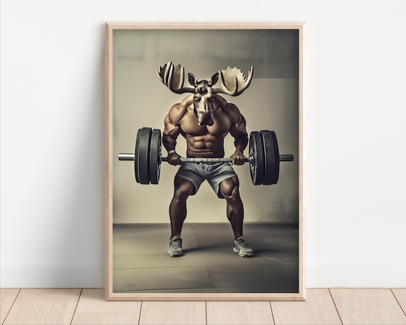 Moose Lifting Weights Poster Or Canvas Funny Gym Wall Art Decor Animals Working Out Bodybuilder Quirky Animal Humor Print