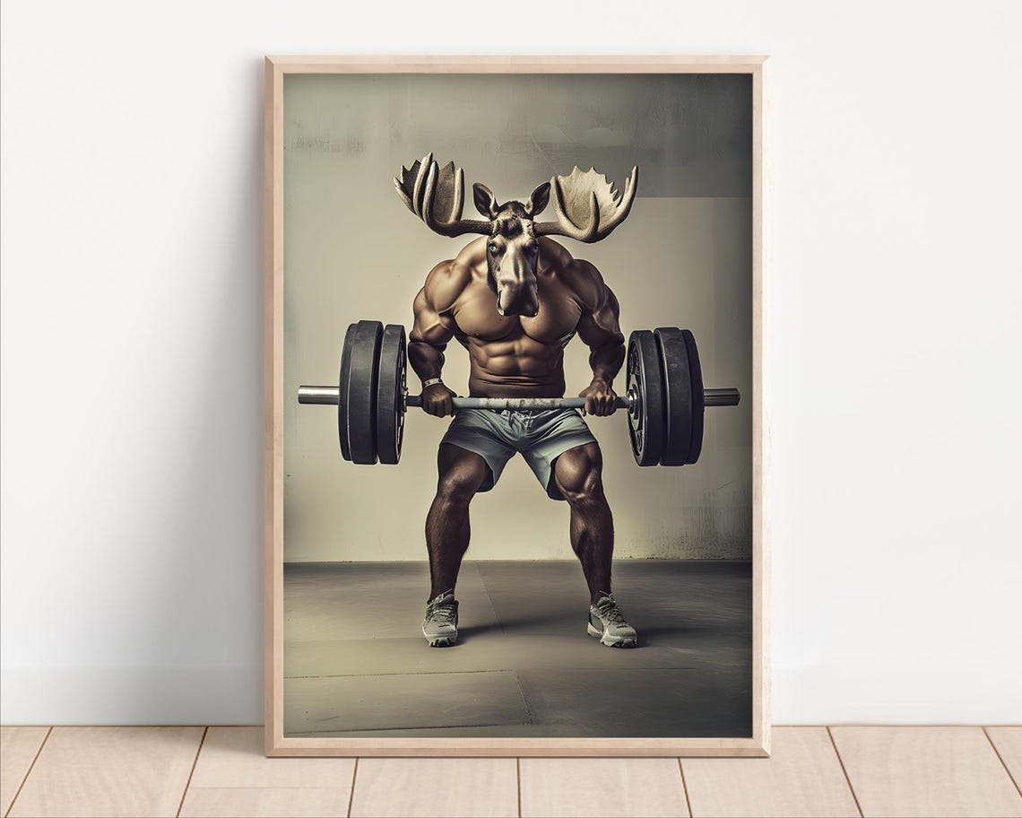 Muscular Moose Lifting Barbell Funny Gym Animal Weightlifting Poster