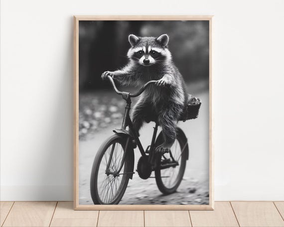 Raccoon Riding A Bike Poster Or Canvas Funny Animal Wall Art Retro Vintage Style Home Decor Cute Kids Nursery Room Print Quirky Humor