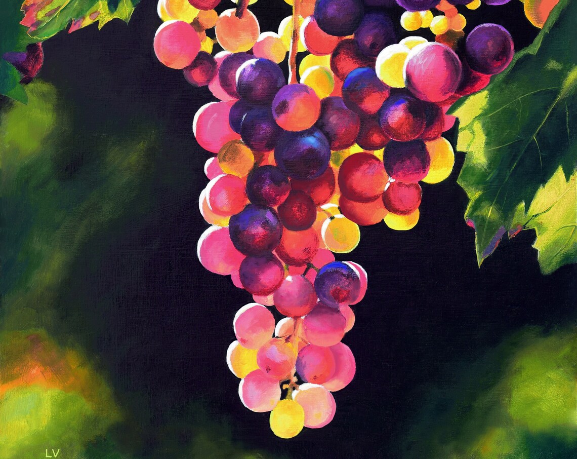 Sunlit Cluster of Colorful Jewel Toned Grapes on the Vine Poster
