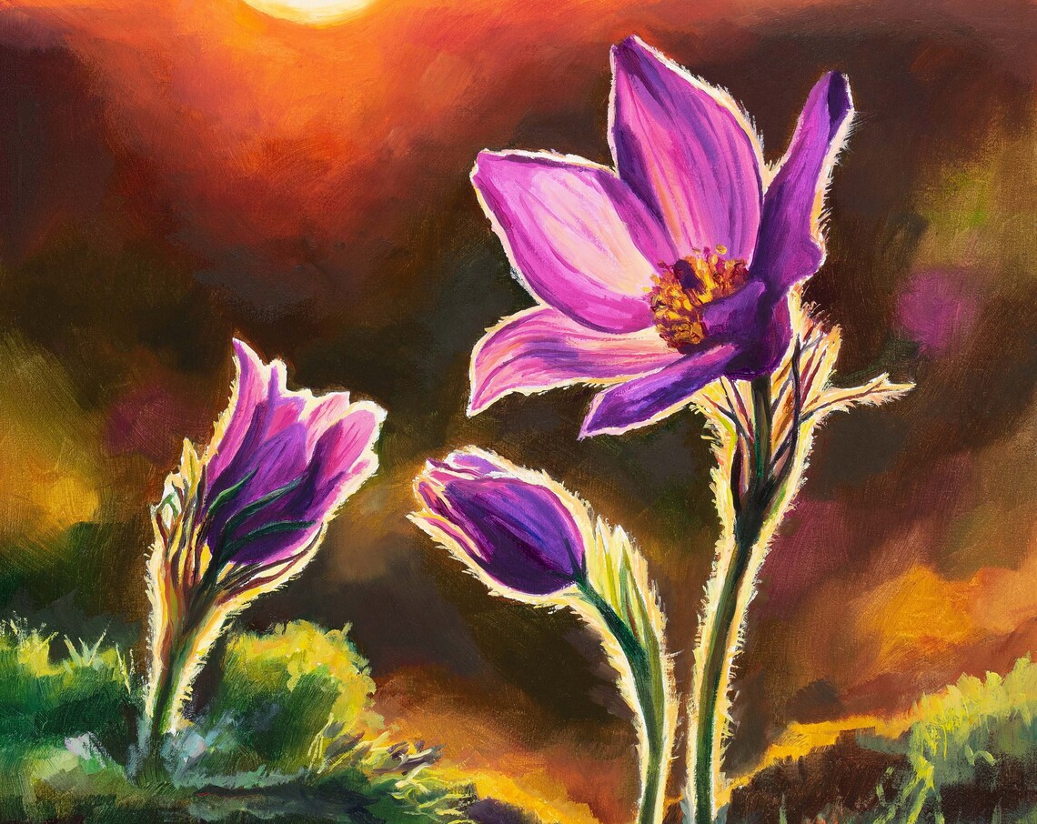 Pink Pasque Flower Backlit Sunset Meadow Floral Oil Painting Poster