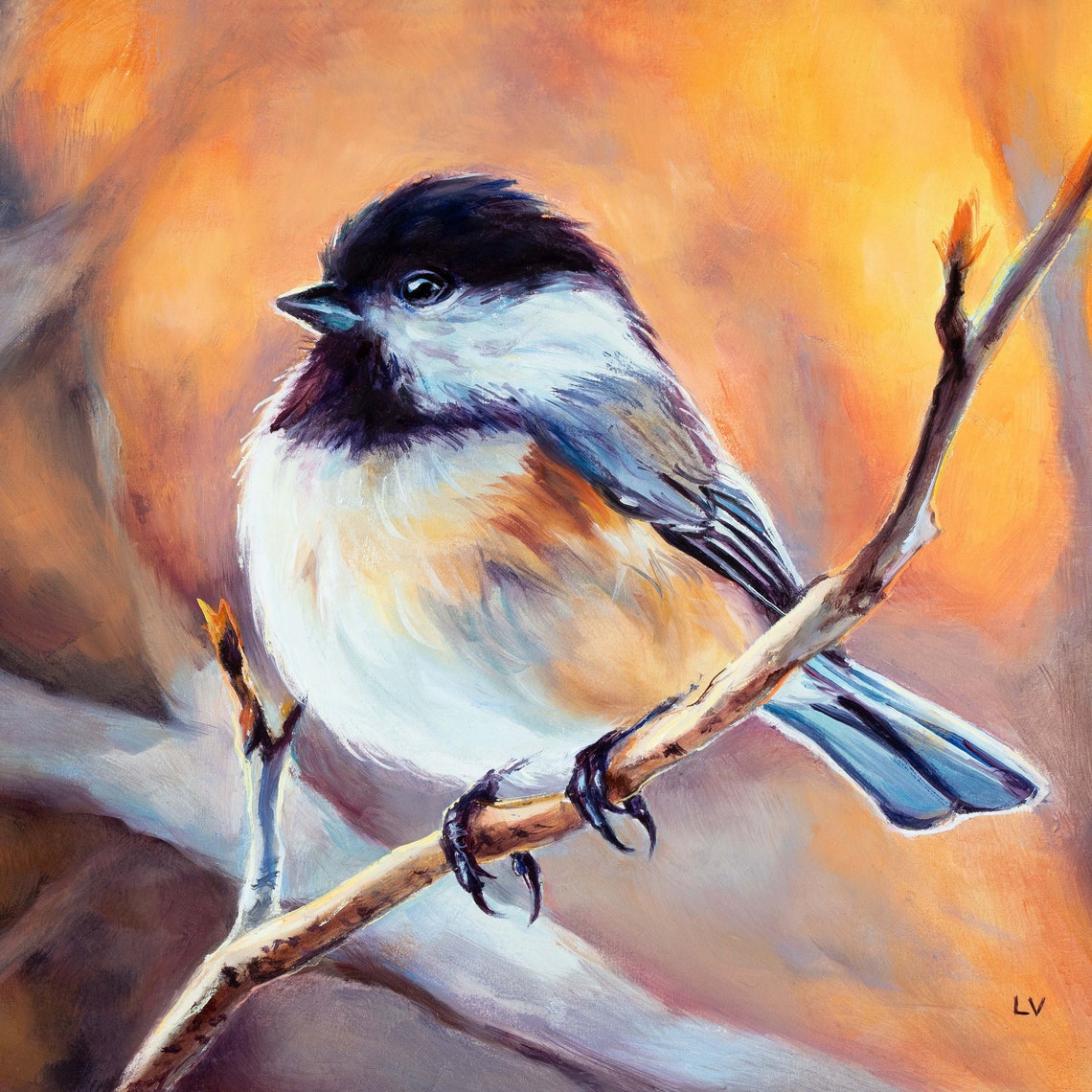 Chickadee Perched on a Branch Glowing in Warm Amber Light Poster