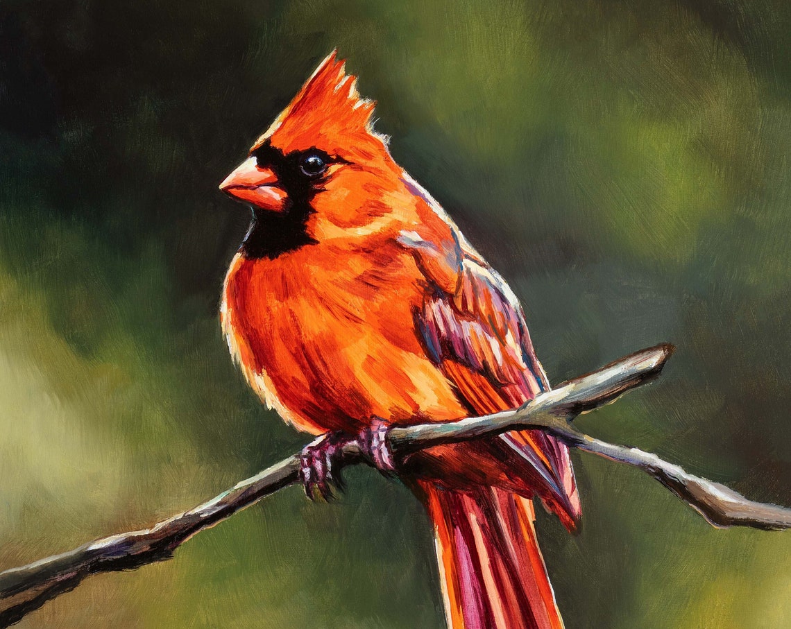 Northern Cardinal Red Bird Perched On A Branch Bird Lover Poster