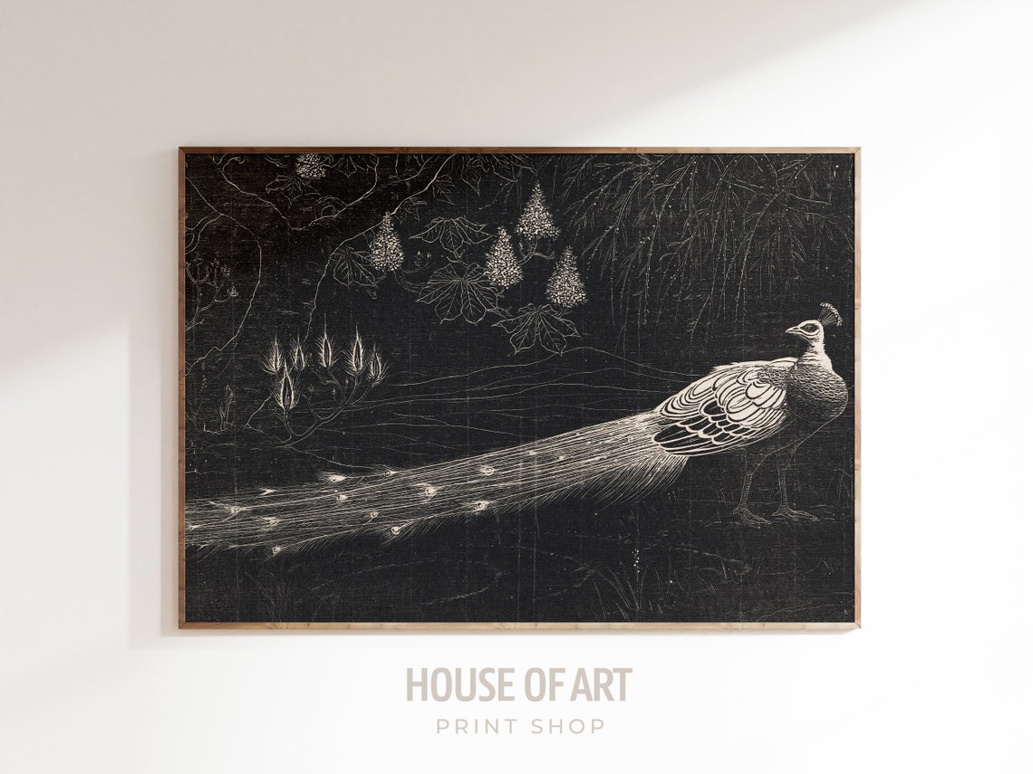 Peacock Night Garden Black White Woodcut Lithograph Bird Poster