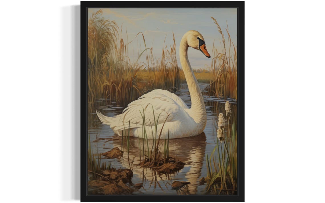 White Swan Gliding Among Reeds Vintage Style Lake Bird Poster
