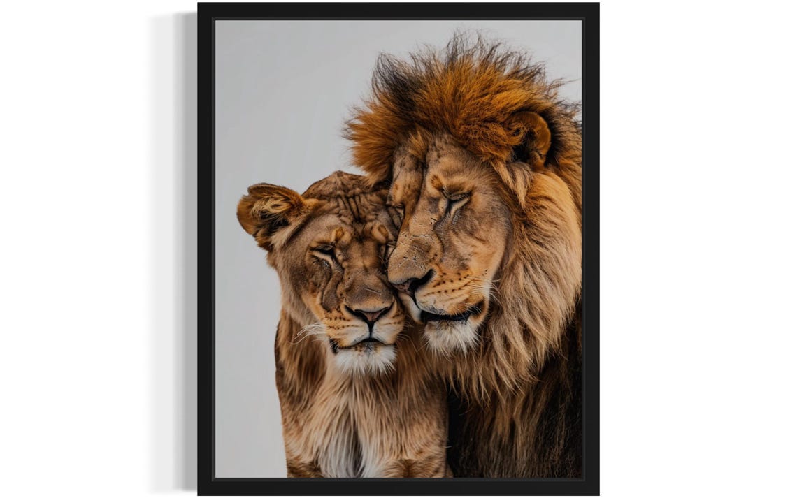 Tender Lion and Lioness Nuzzling Couple Wildlife Photo Poster