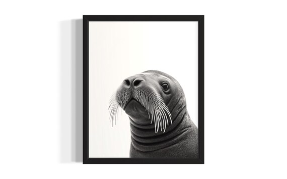 Cute Tiny Baby Walrus Black And White Minimalist Portrait Poster