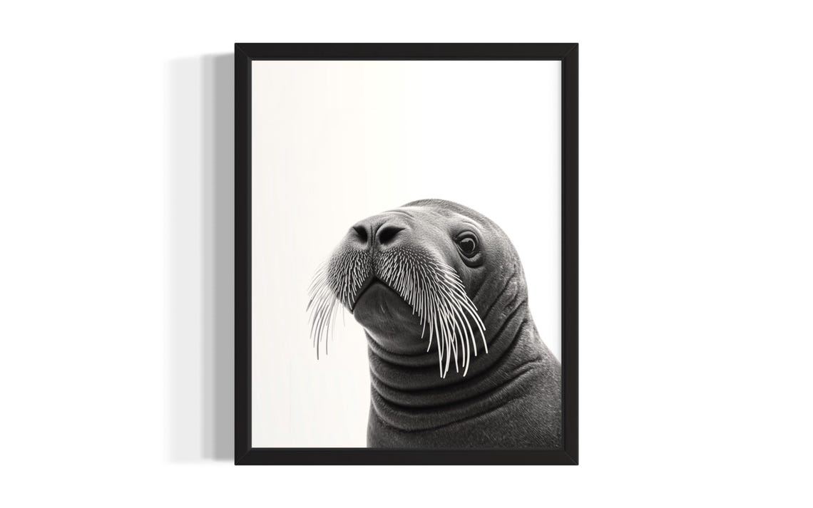 Cute Tiny Baby Walrus Black And White Minimalist Portrait Poster