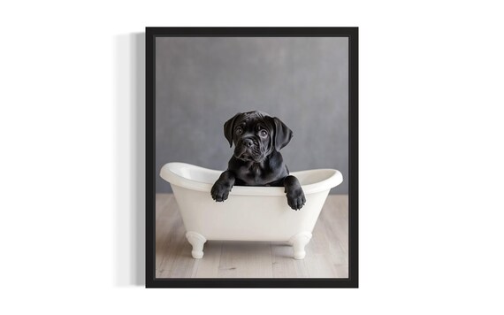 Cane Corso Puppy in White Bathtub Adorable Black Dog Photo Poster