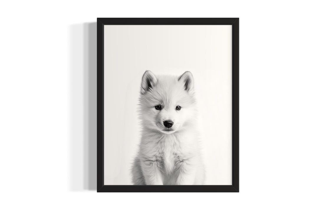 Cute Baby Arctic Wolf Puppy Black and White Nursery Photo Poster