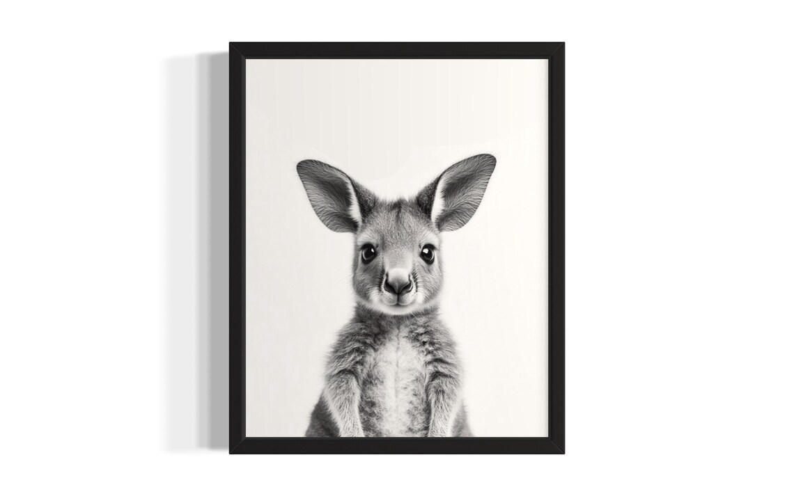 Baby Kangaroo Black And White Close Up Portrait Cute Wildlife Poster