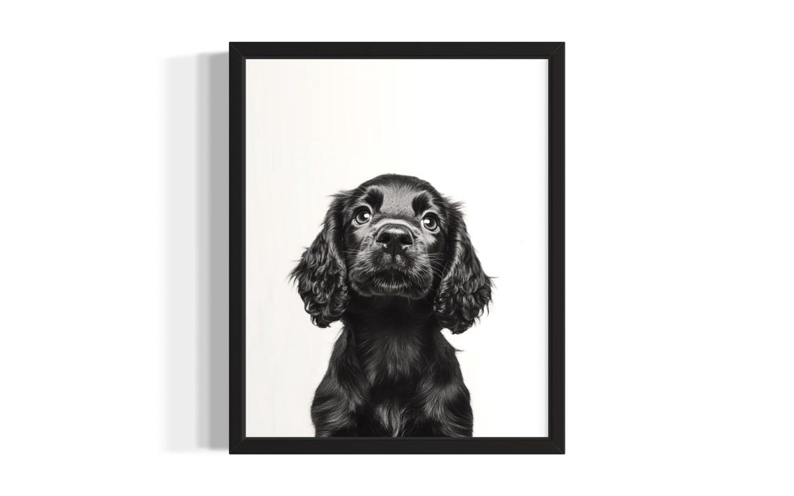 Sweet Black Cocker Spaniel Puppy Portrait Studio Photo Poster