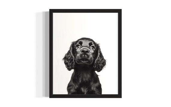 Sweet Black Cocker Spaniel Puppy Portrait Studio Photo Poster