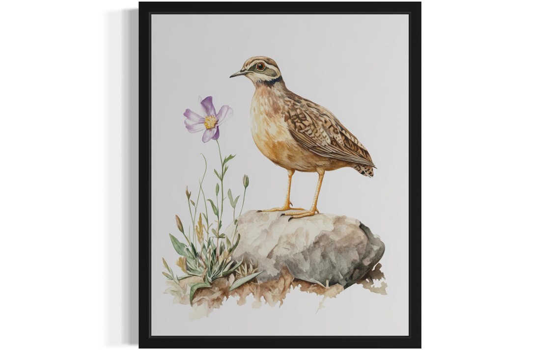 Eurasian Woodcock Watercolor Game Bird Standing on a Rock Art Print