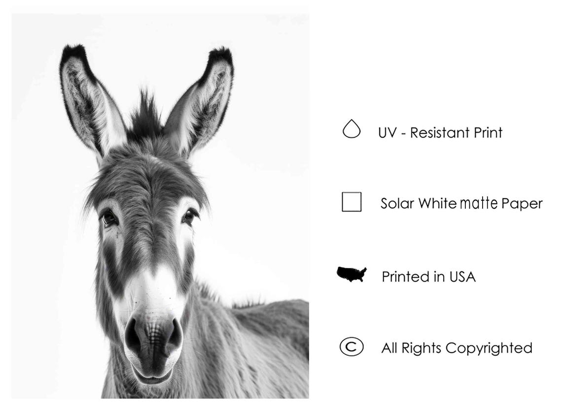 Donkey Black and White Long Eared Farm Animal Front Portrait Poster - Image 2