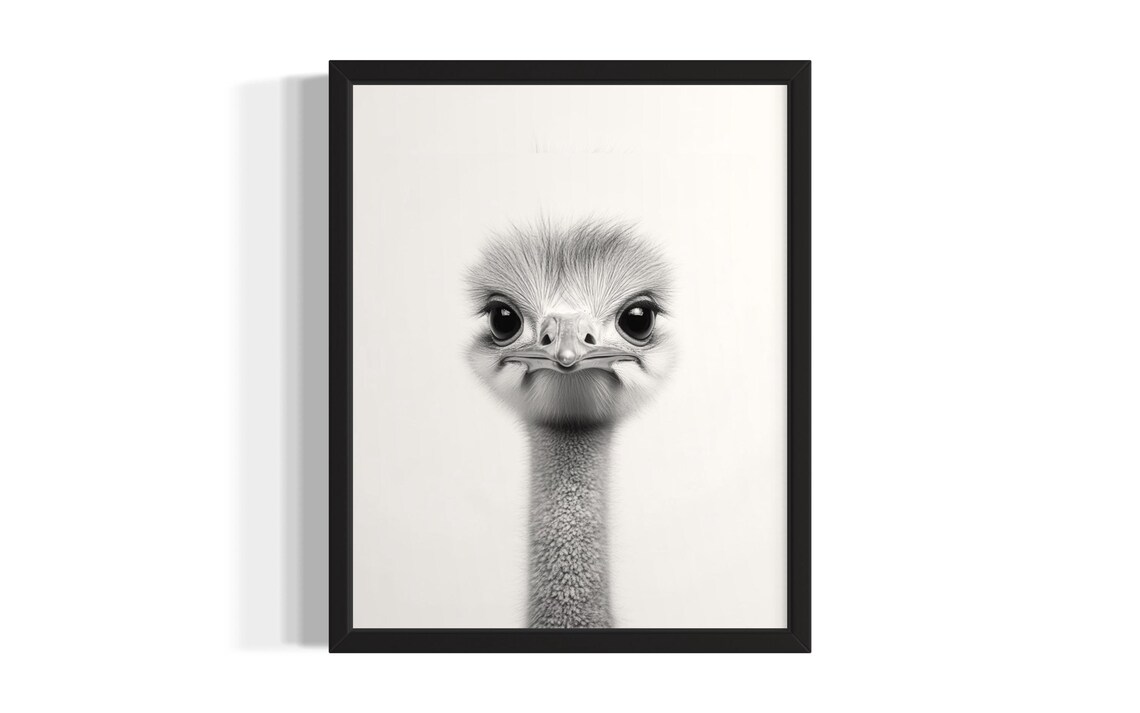 Baby Ostrich Close Up Portrait Black And White Bird Photo Poster