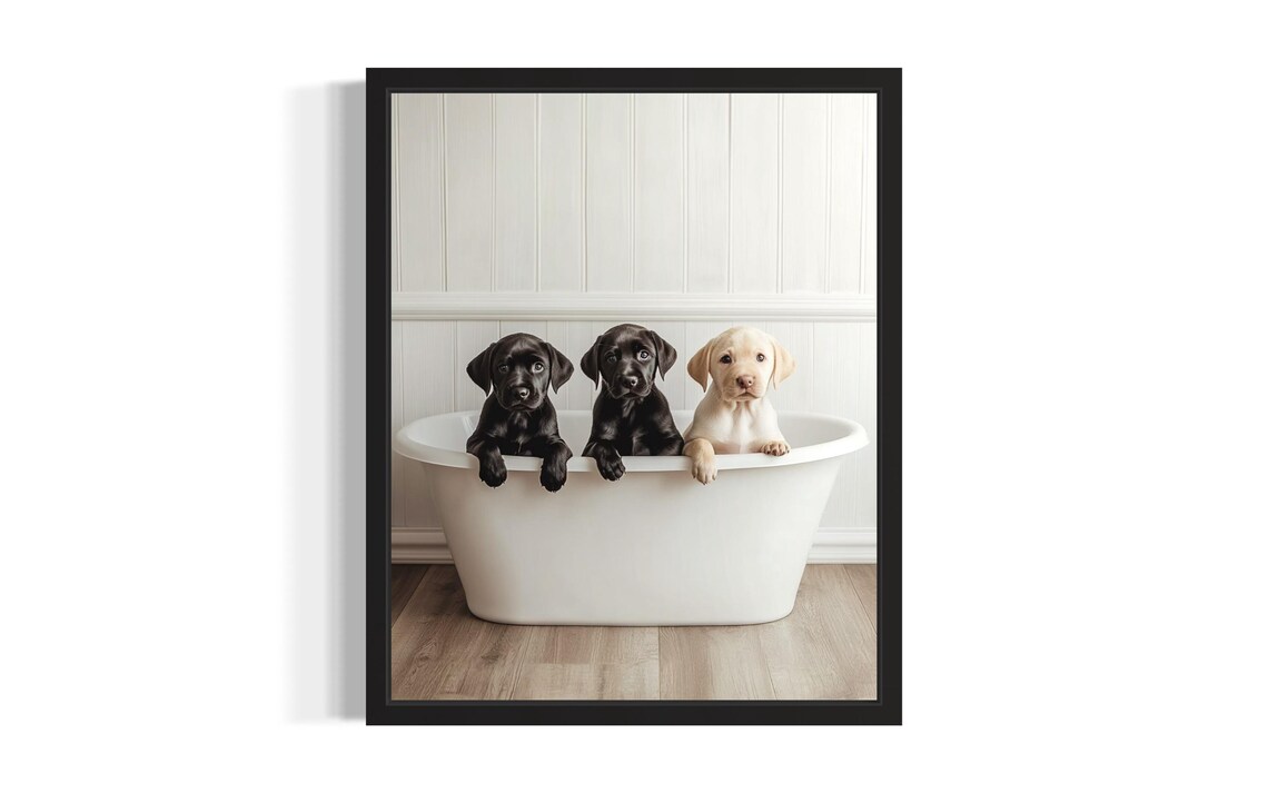 Three Cute Labrador Retriever Puppies Bath Time Dog Photo Poster