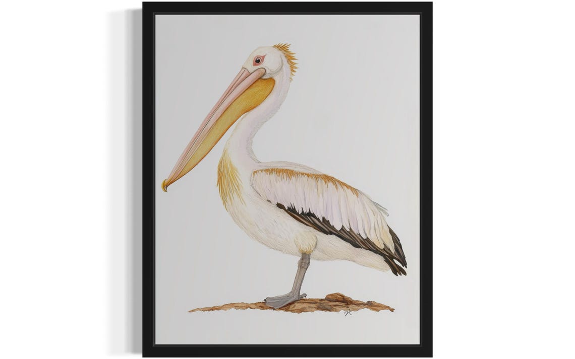 Great White Pelican at the Water Edge Watercolor Bird Poster