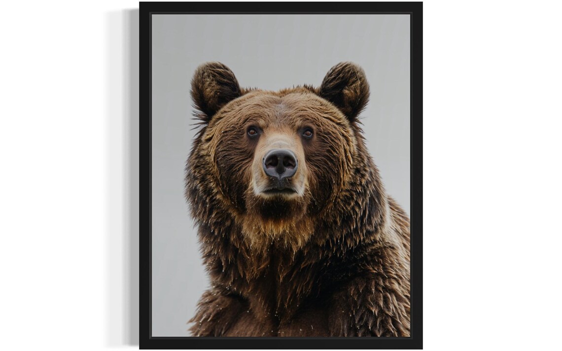 Majestic Brown Bear Close Up Portrait Wildlife Decor Art Poster