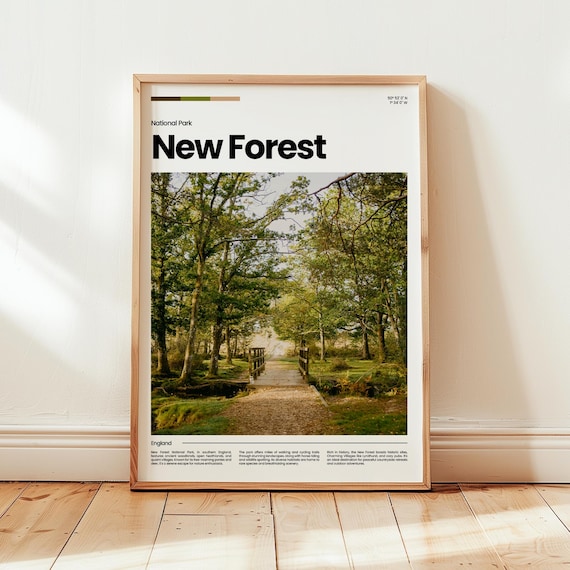New Forest National Park Woodland Path Travel Poster England Nature Gift