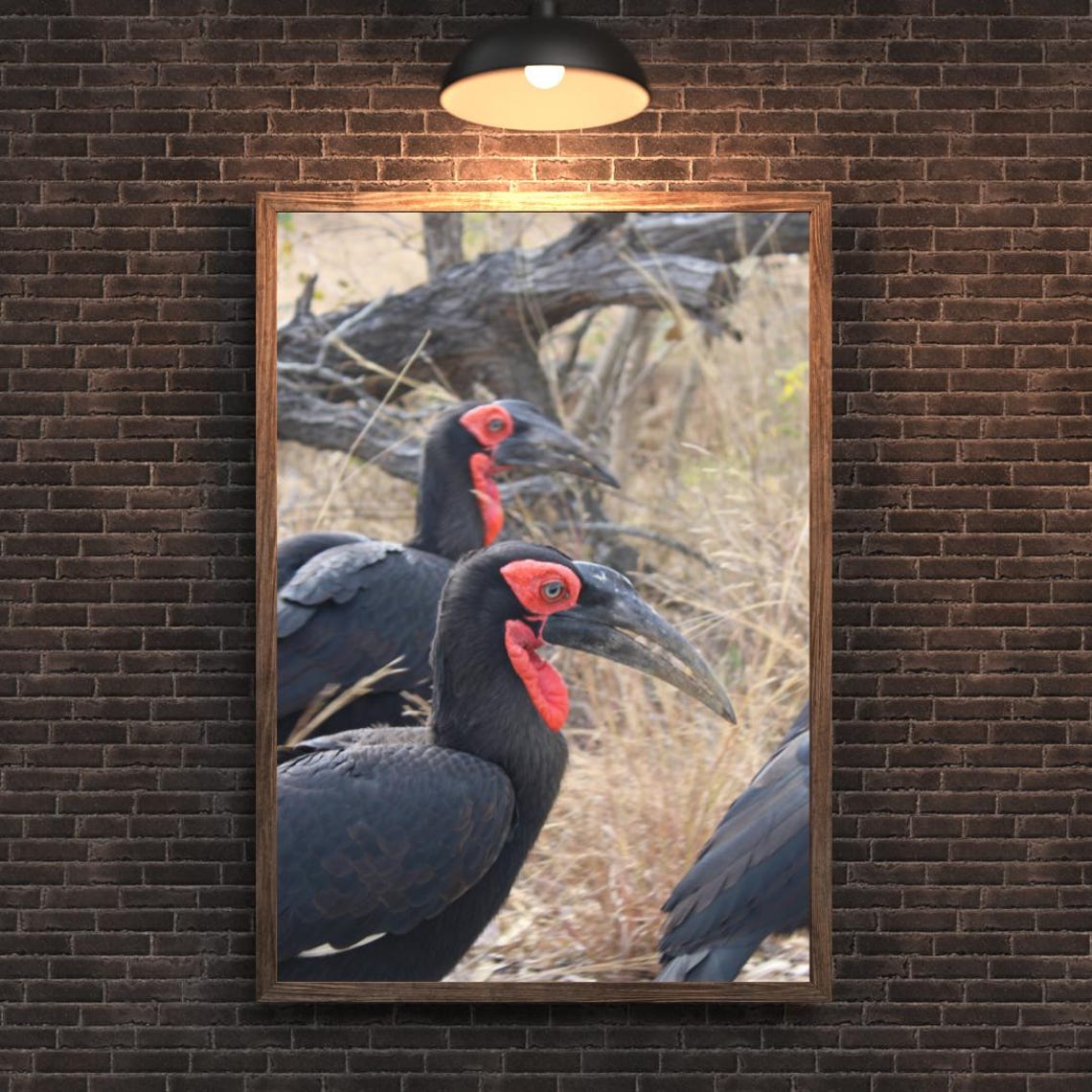 Thunder Birds, Africa's Game Reserves - Image 2