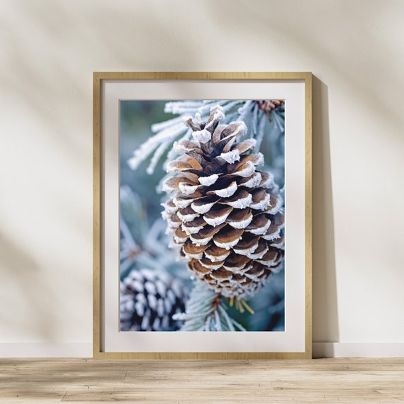Nature Picture Pine Cones Snow 1 Poster On Matte Premium Paper Decoration Wall Decoration