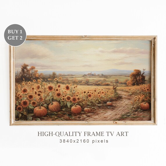 Sunflower Field With Pumpkins Along Dirt Path Rural Autumn Field Print