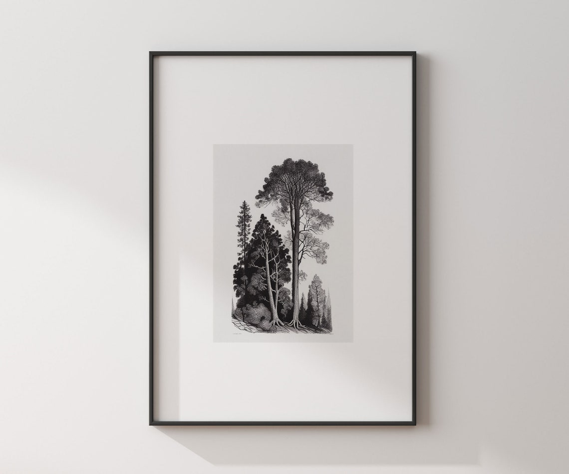 Black White Pine Trees Etching Forest Illustration Vintage Wall Art - Image 3