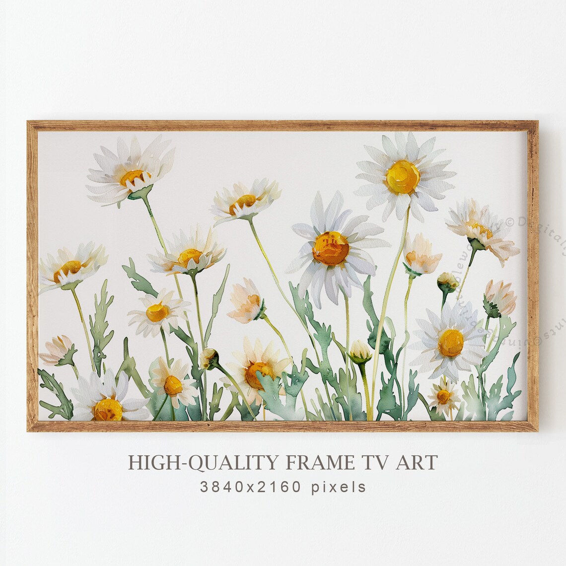 Watercolor Daisies White Yellow Spring Botanical Fresh Floral Art Poster - Image 4