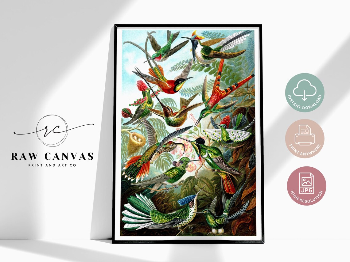 Vintage Birds, Ernst Haeckel Nature Art Print