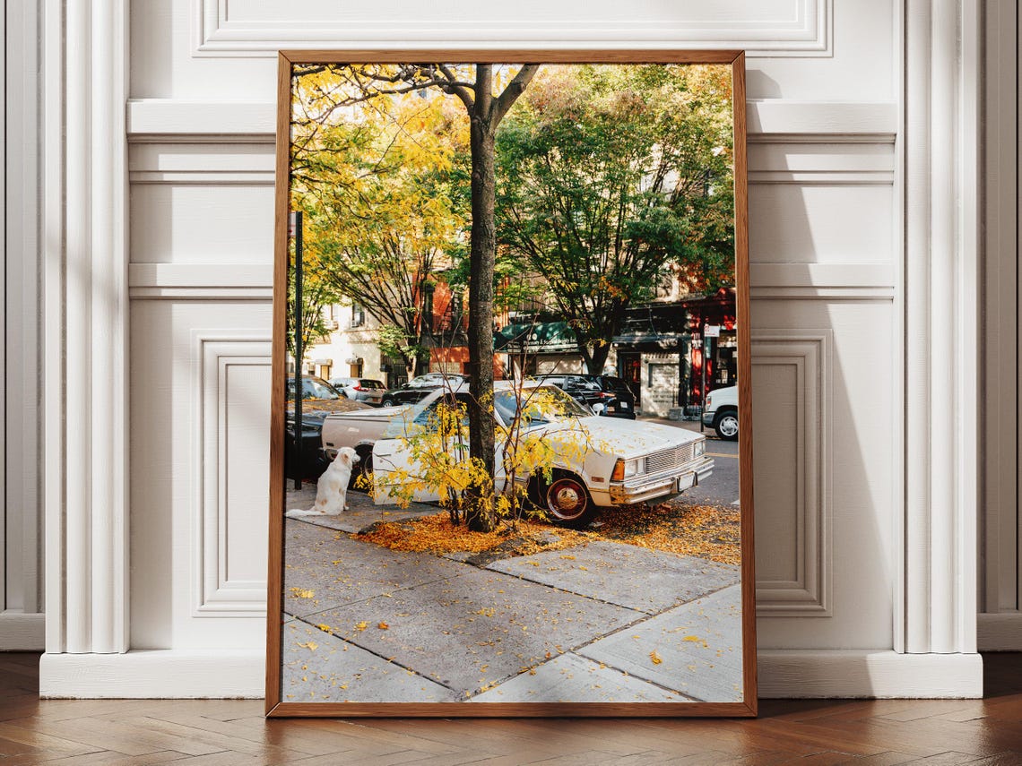 Williamsburg Autumn Photo Print White Dog Vintage Car Nyc Wall Art