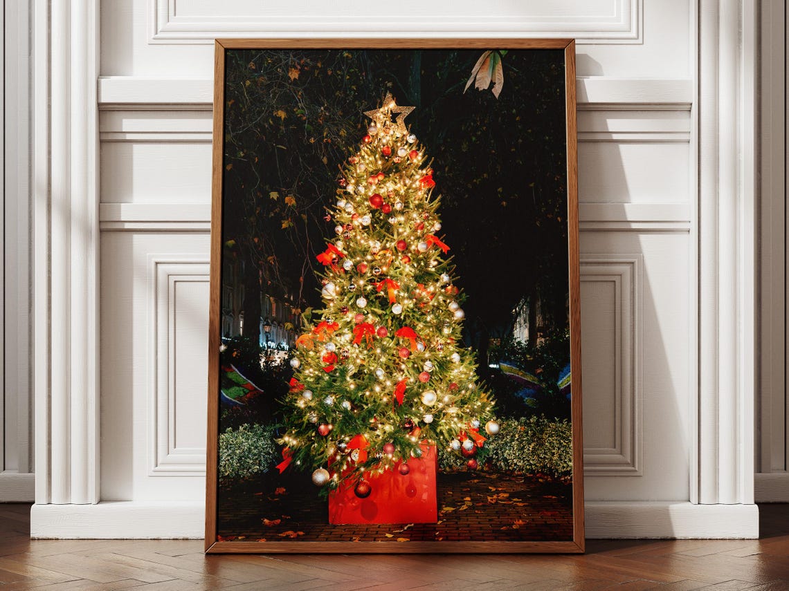 Illuminated Christmas Tree With Red Ornaments Night Photo Poster
