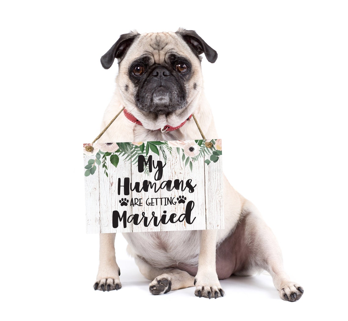 My Humans Are Getting Married Funny Dog Wedding Photo Poster - Image 3