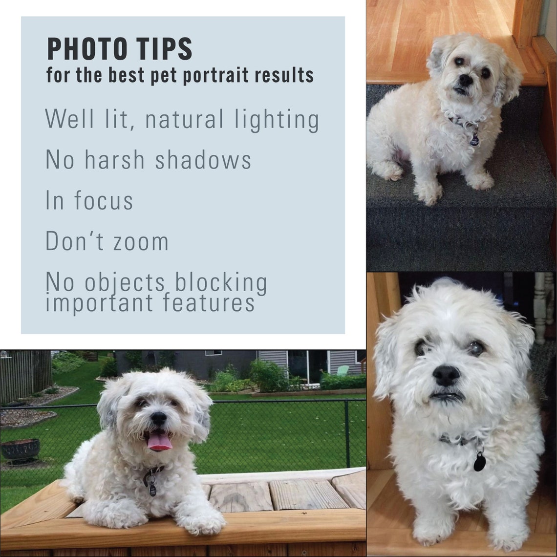 Casey Custom Dog Portrait Photo Collage Personalized Pet Poster - Image 3