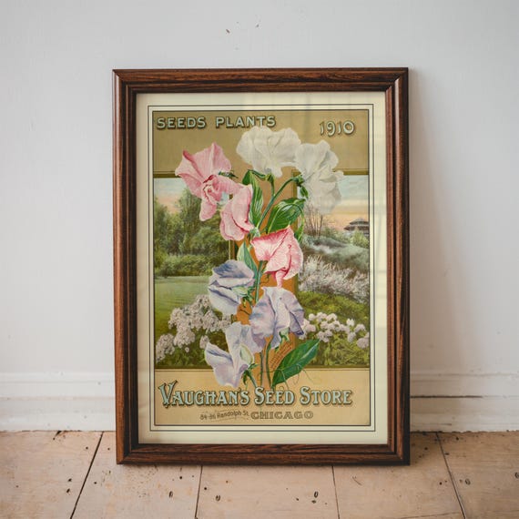 Vintage Gardening Print Botanical Wall Decor Antique Seed Packet Farmhouse Kitchen Art Vegetable Garden Poster Vaughn Store