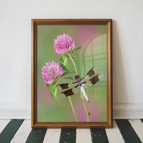 Dragonfly On Flowers Floral Home Decor Living Room Print Bathroom Wall Art Canvas Prints Spa Air Bnb