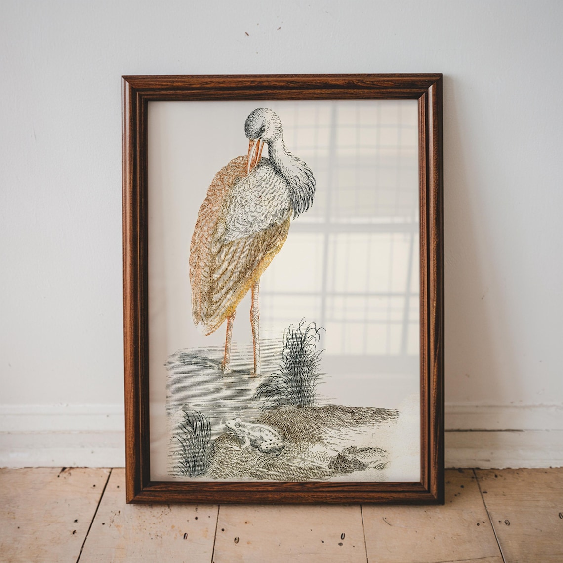 Stork and Frog Antique Natural History Engraving Bird Poster