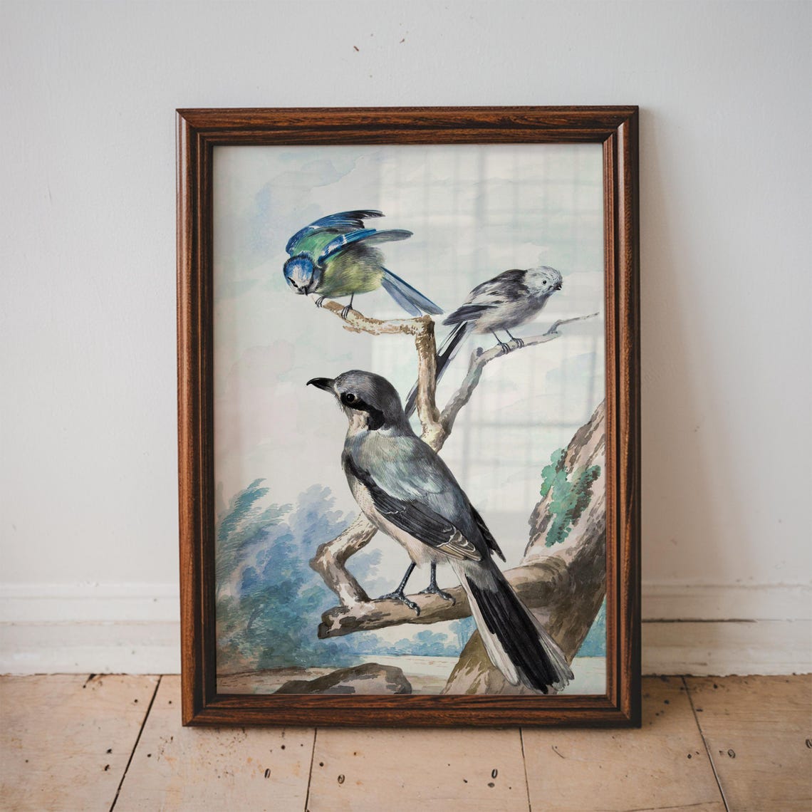 Three Birds On A Branch Vintage Nature Illustration Bird Poster Botany Art Home Decor