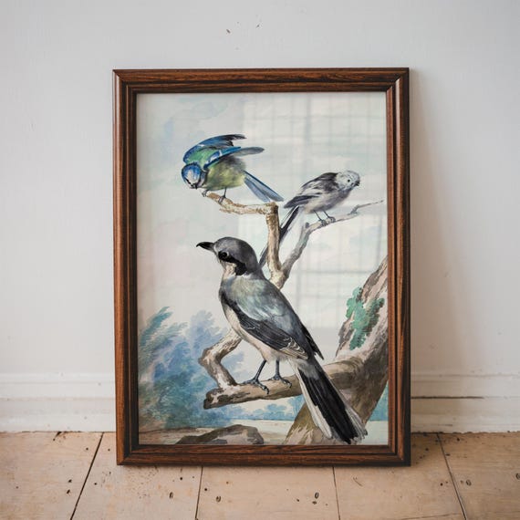 Three Birds On A Branch Vintage Nature Illustration Bird Poster Botany Art Home Decor