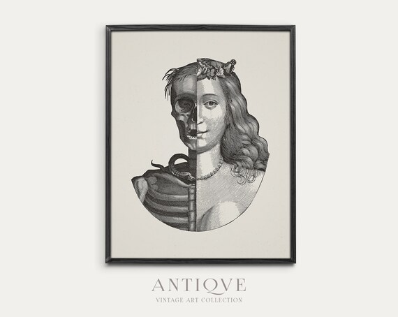 Life And Death Half Woman Half Skull Memento Mori Art Poster