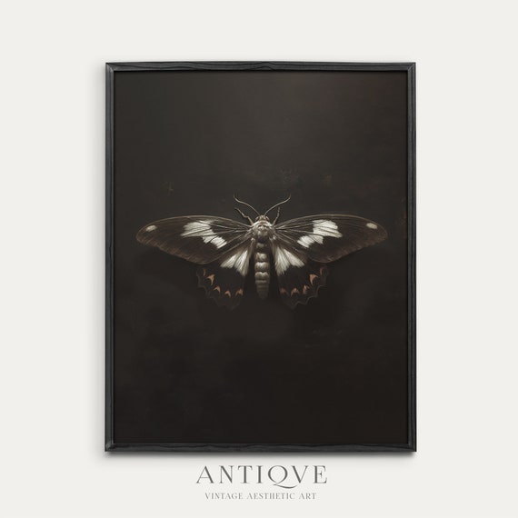 Moth Painting Print Black Insect Print Dark Academia Wall Art 945