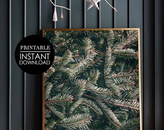 Dense Evergreen Pine Needles Dark Winter Forest Close Up Poster