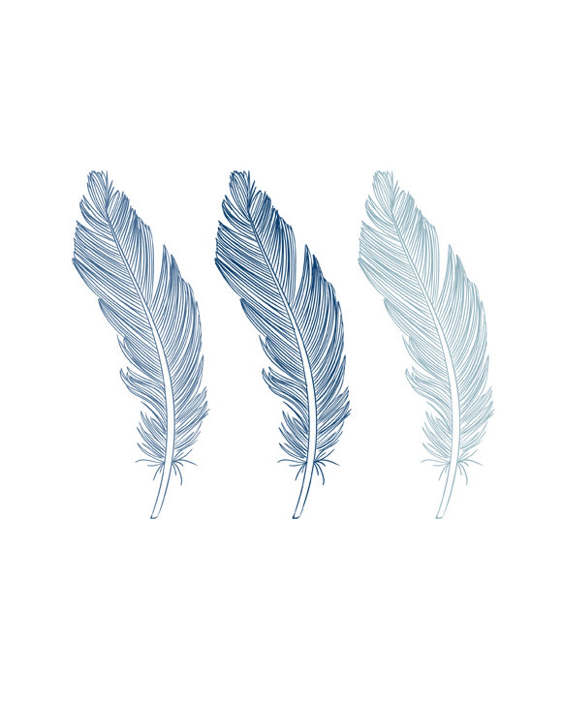 Navy Blue Feathers Trio Elegant Feather Line Art Wall Decor Poster
