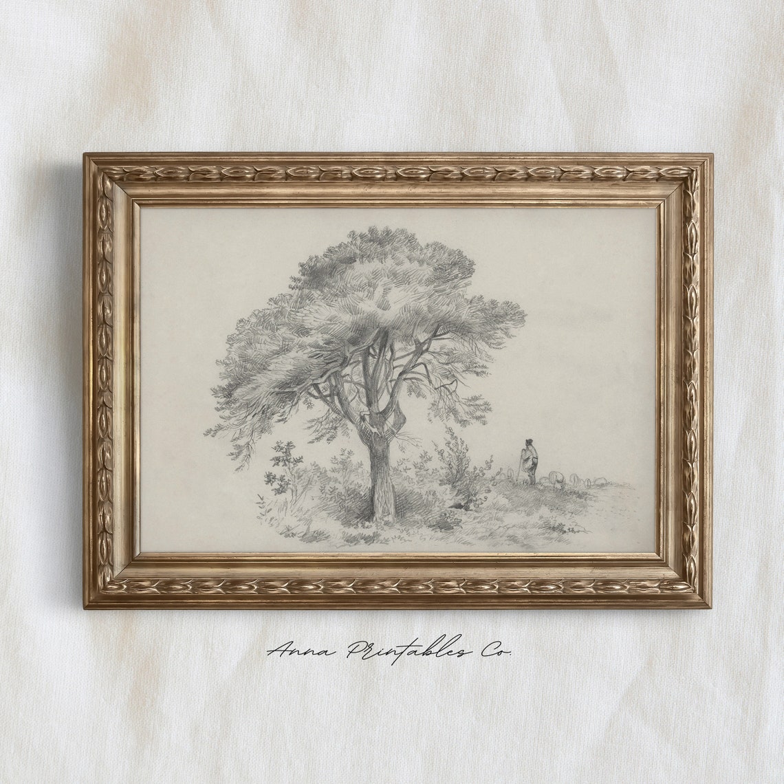 Tree Sketch Vi Antique Tree Drawing For Vintage Rustic Nature Wall Art Farmhouse Decor Fine Art Print - Image 2