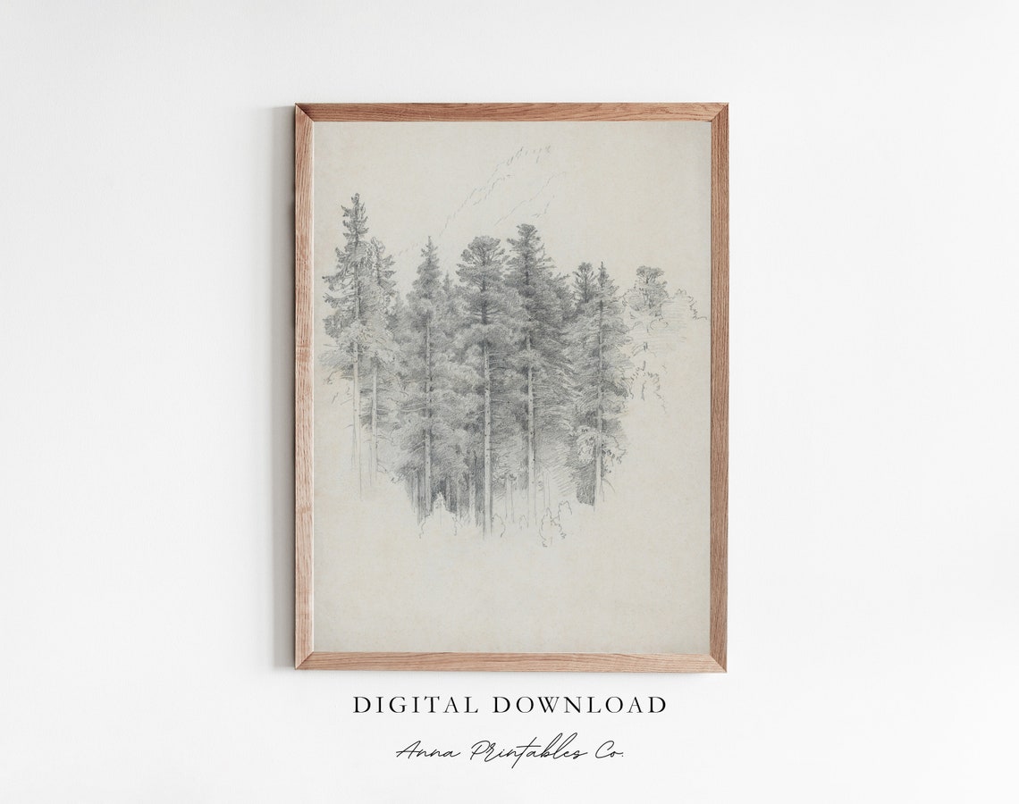 Coniferous Tree Stand Pencil Sketch Minimalist Evergreen Art Print