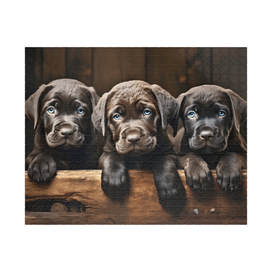 Three Adorable Chocolate Labrador Puppies Cute Dog Trio Poster - Image 5