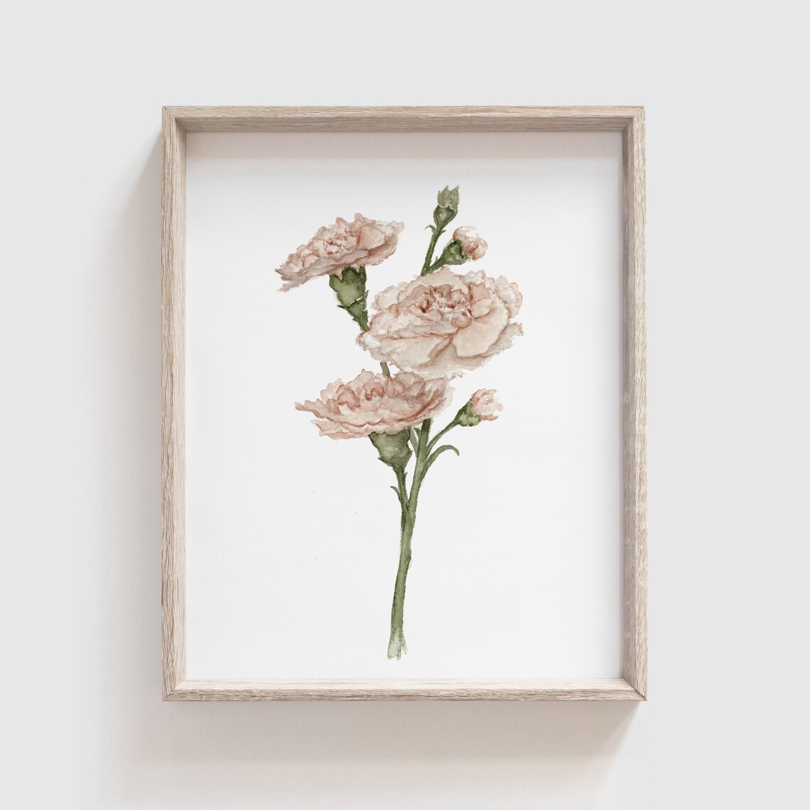 Carnation Flower Art Print, Watercolor Floral Decor