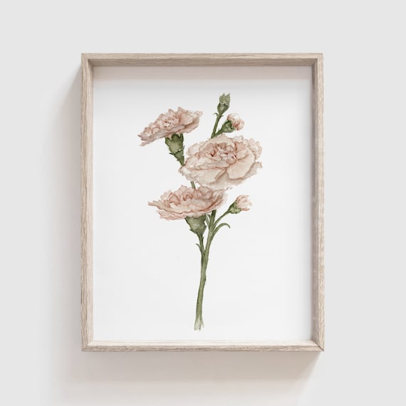 Carnation Flower Art Print, Watercolor Floral Decor
